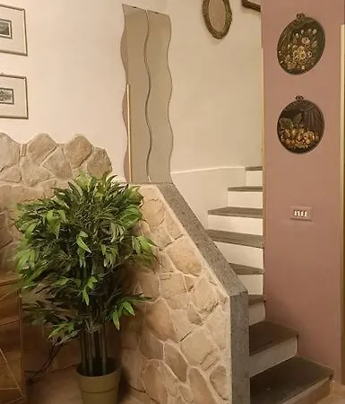 D'amico Experience - Centro Frosinone