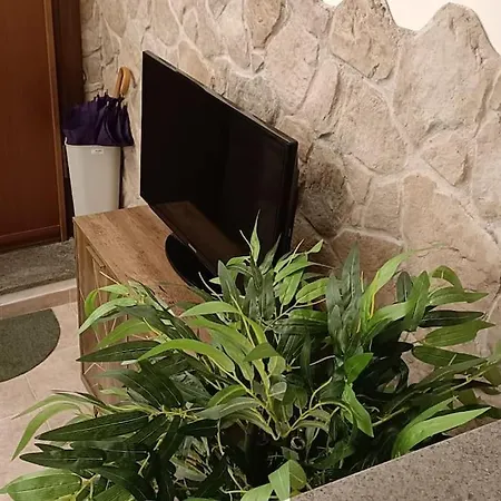 D'amico Experience - Centro * Frosinone